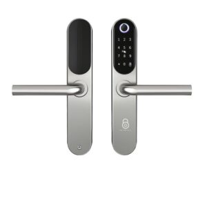 IBINTEL BERNA B1 PLATA MT 5085