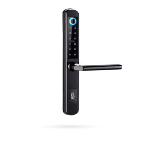 IBINTEL ELVIA E1 NEGRA MT 6085