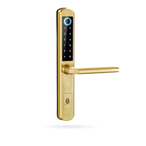 IBINTEL ELVIA E1 ORO MT 5085
